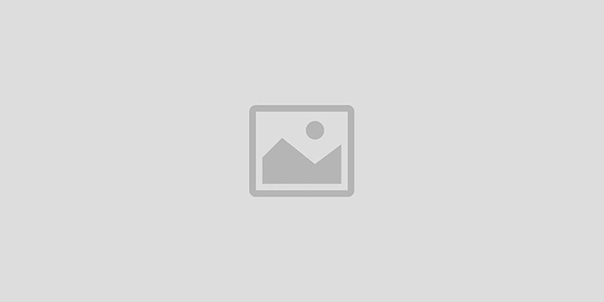 爱卿优品跨境电商选品服务平台 promo